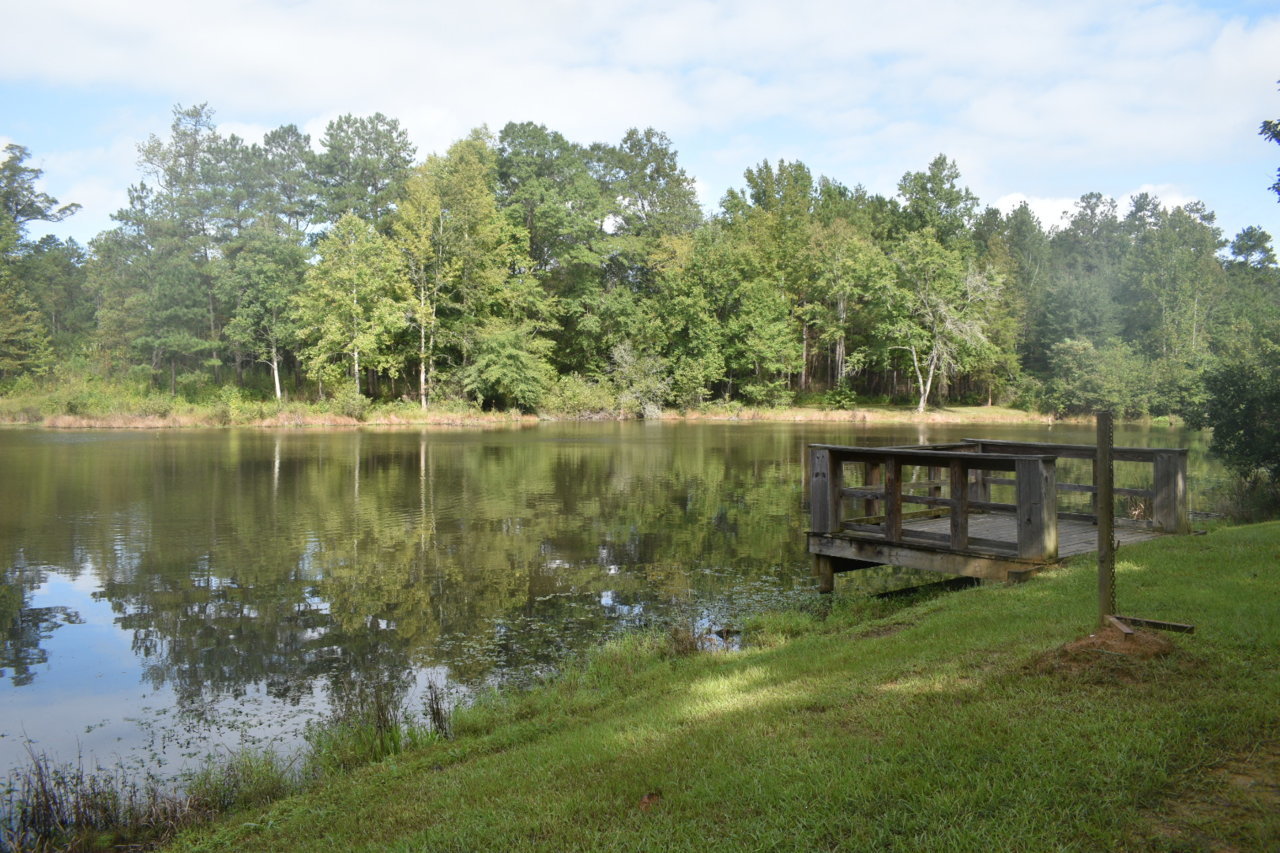 DSC_0626.jpg