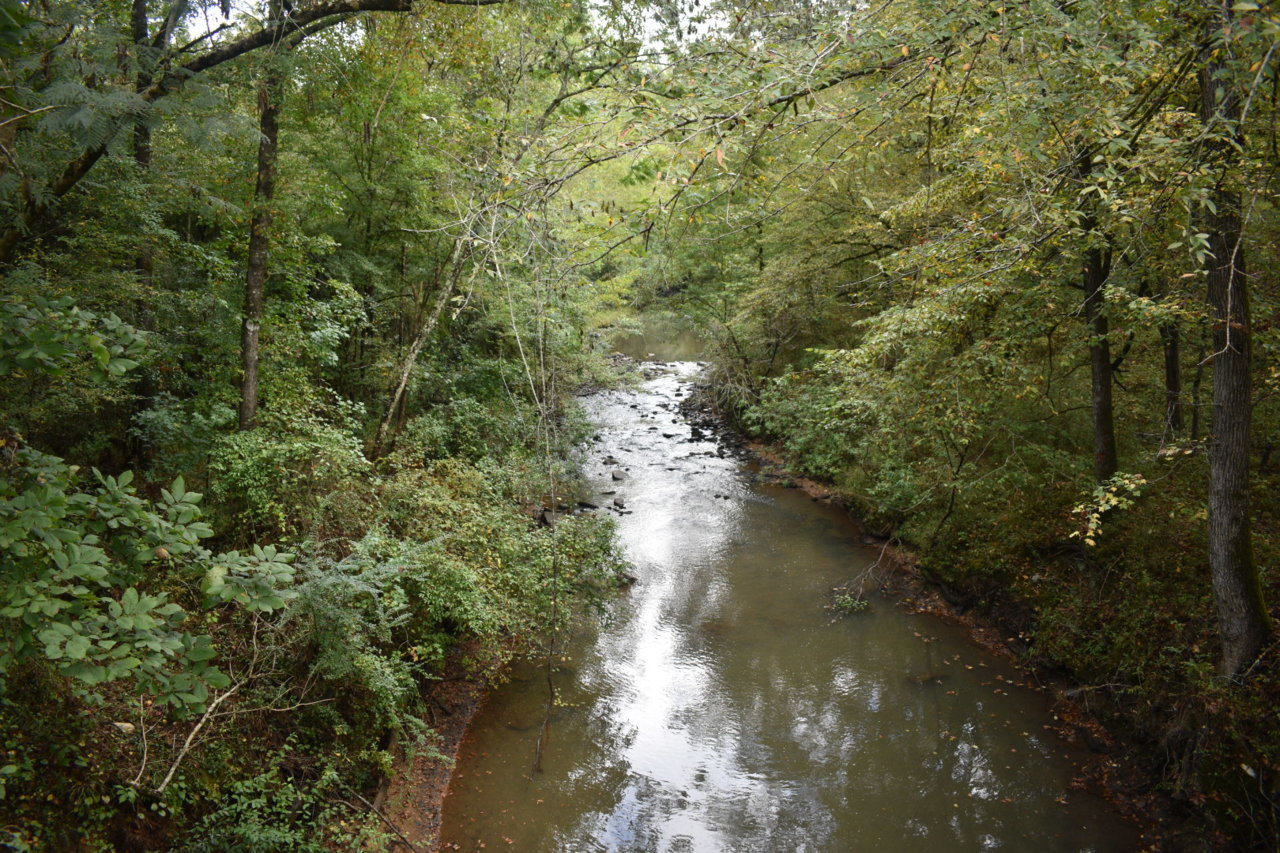 DSC_0629.jpg