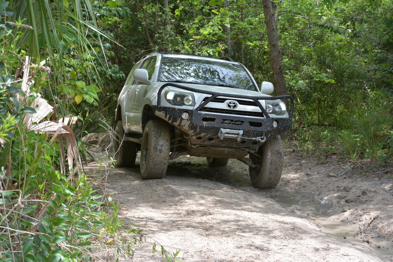 DSC_0631.jpg