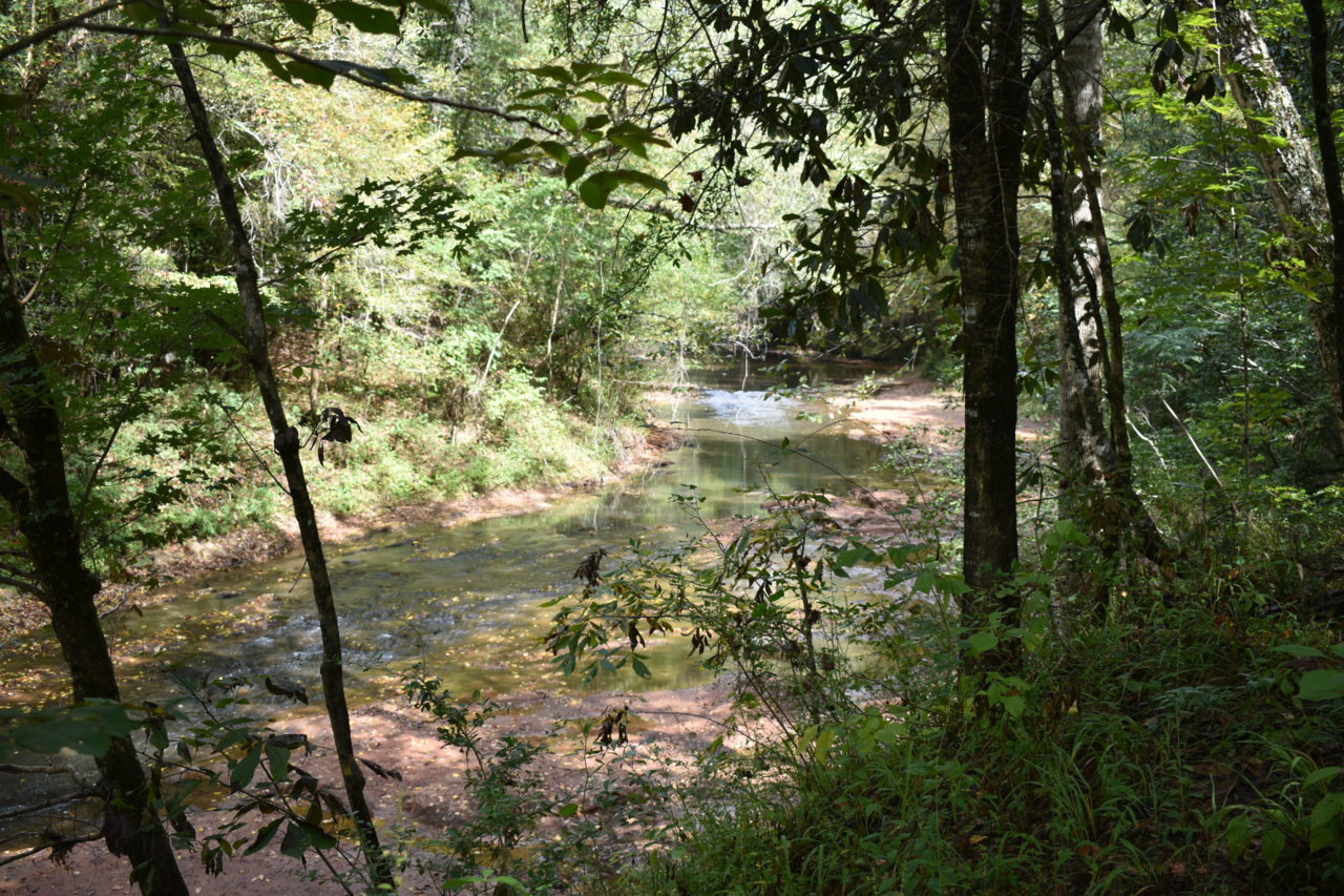 DSC_0631.jpg