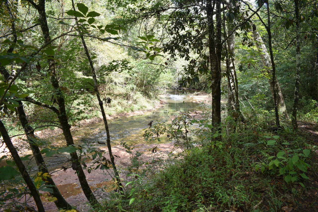 DSC_0632.jpg