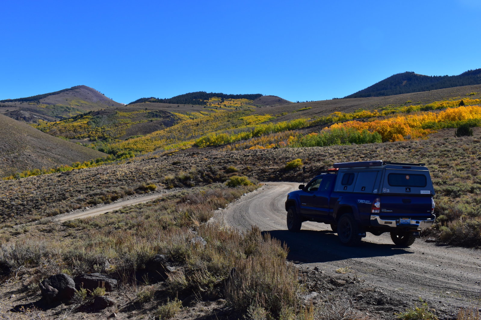 DSC_0632.jpg