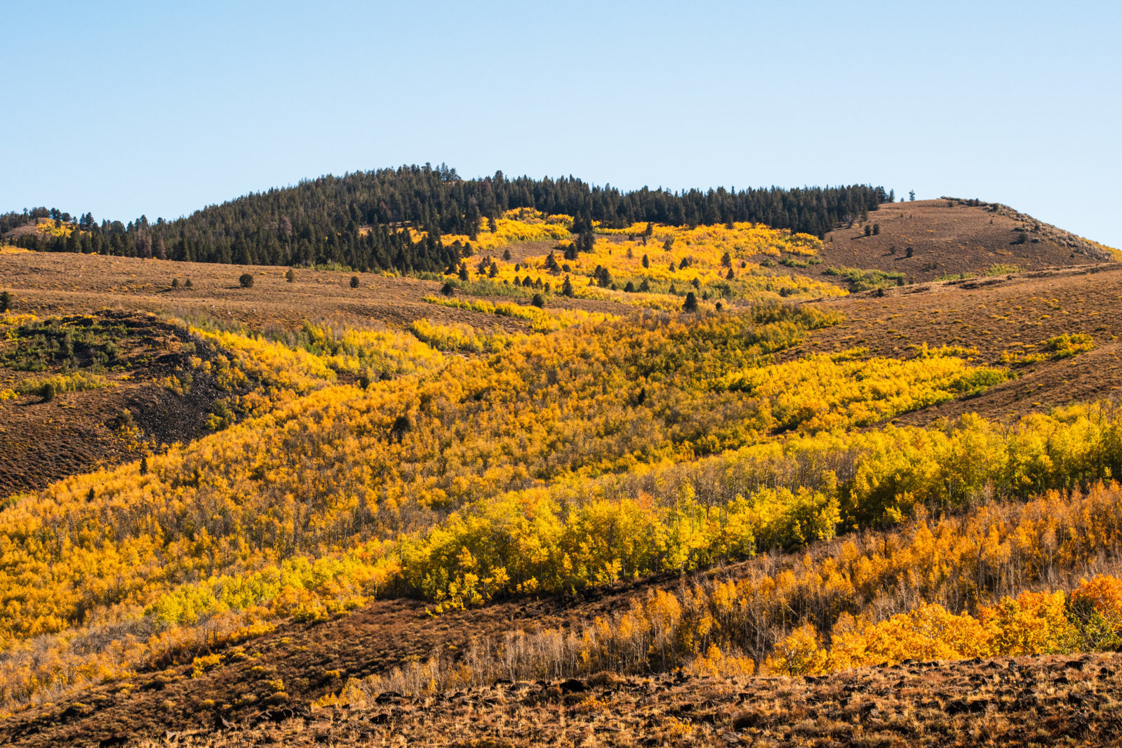 DSC_0635.jpg