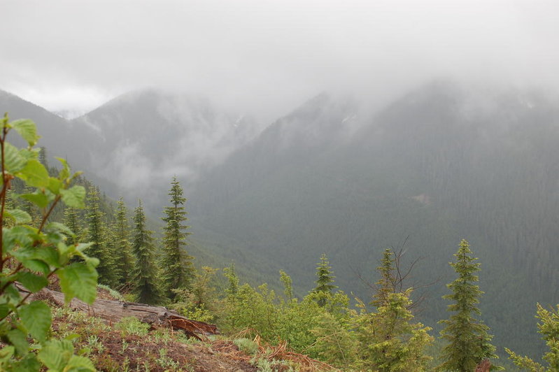 DSC_0648.jpg