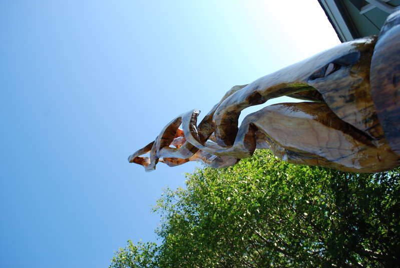 DSC_0649.jpg