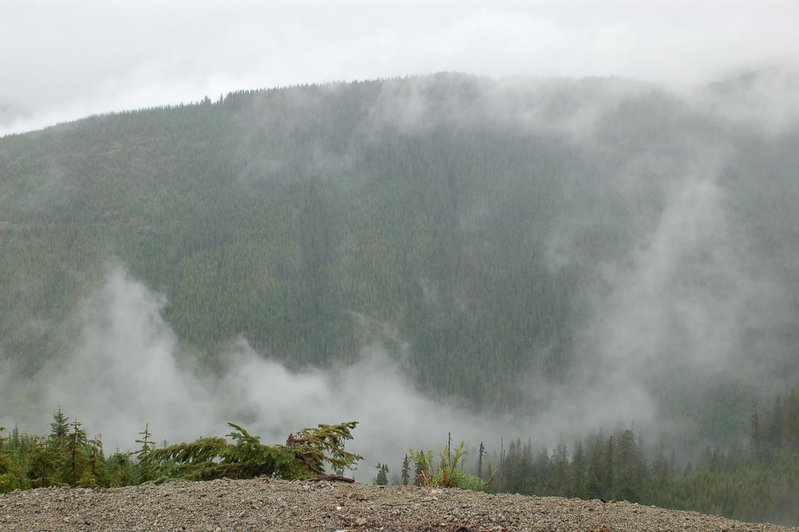 DSC_0651.jpg