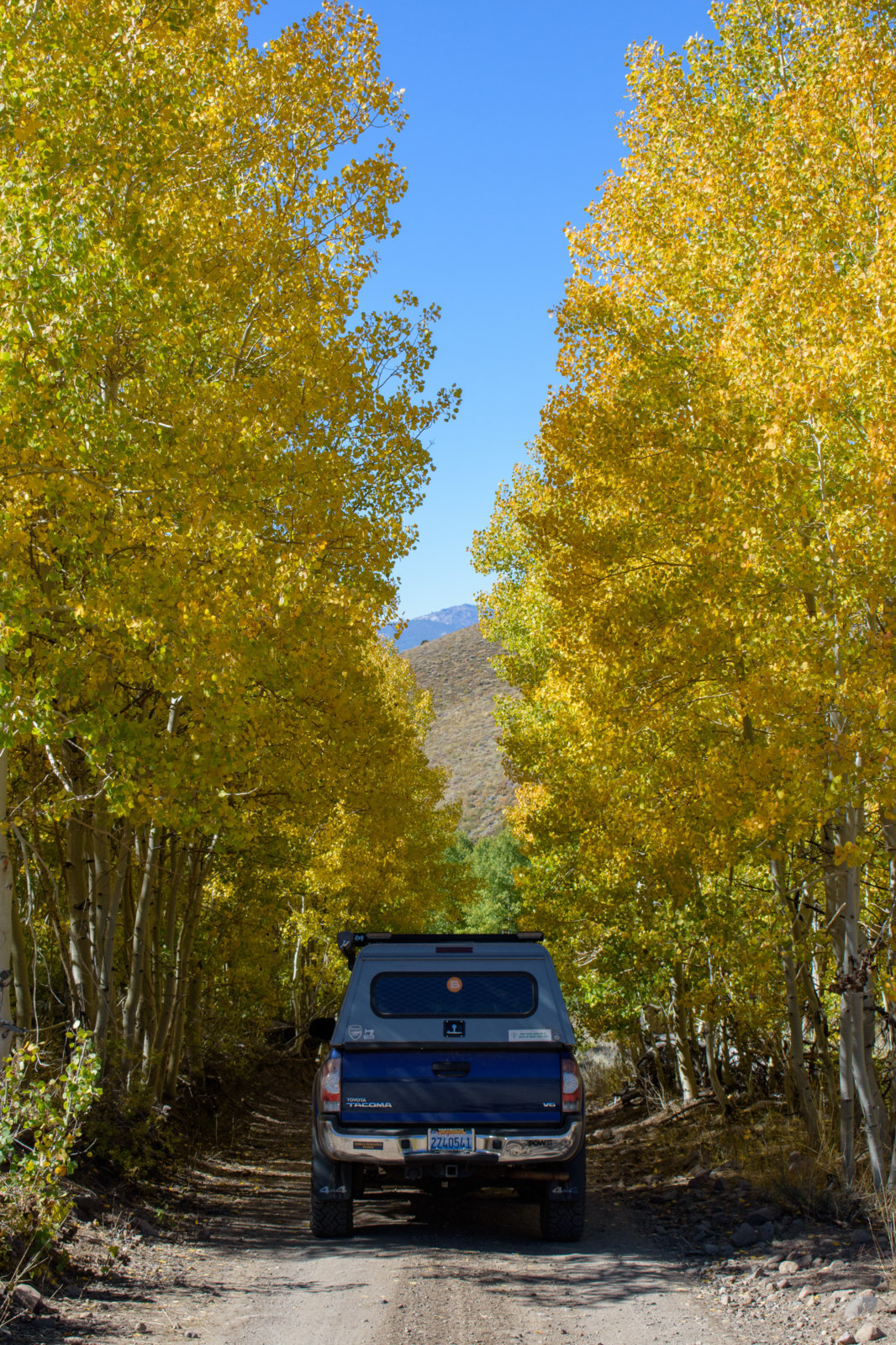DSC_0674.jpg