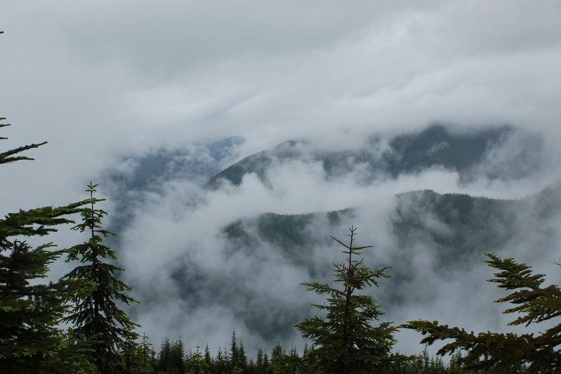 DSC_0679.jpg