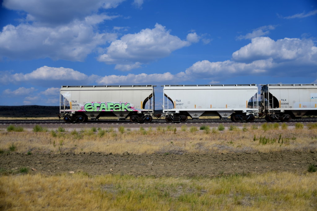 DSC_0684.jpg