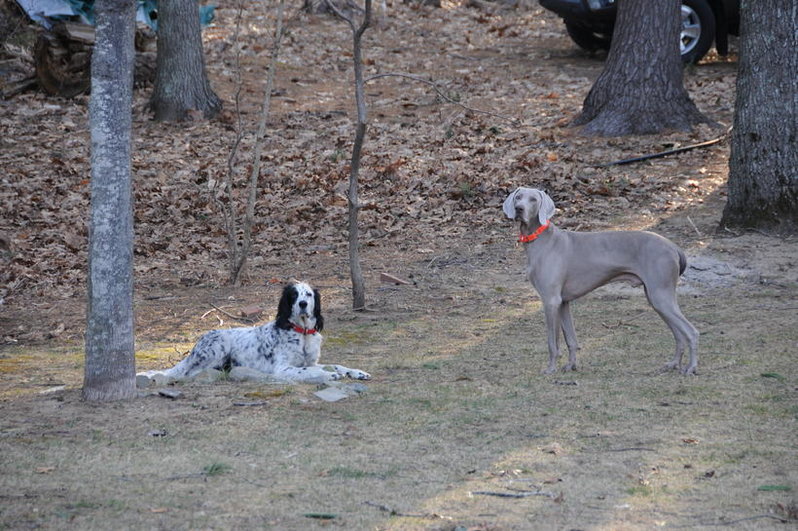 DSC_0694.jpg