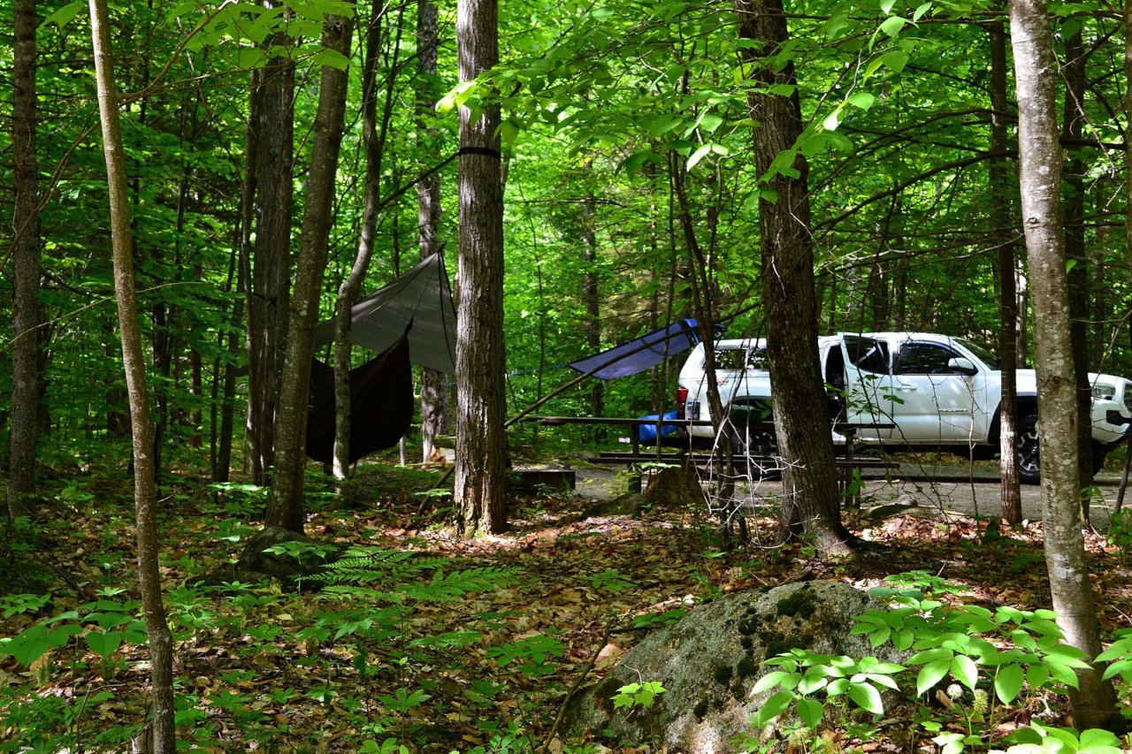 DSC_0695.jpg