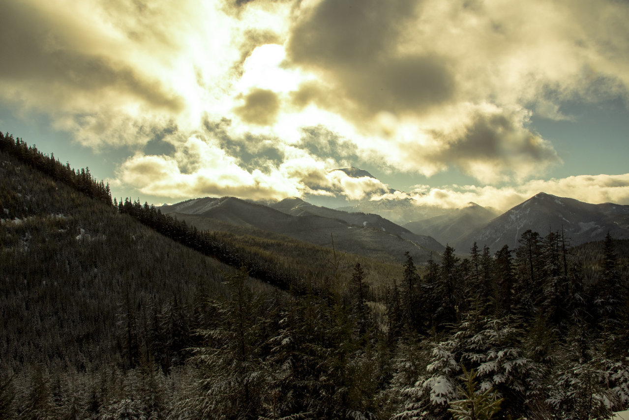 DSC_0697.jpg