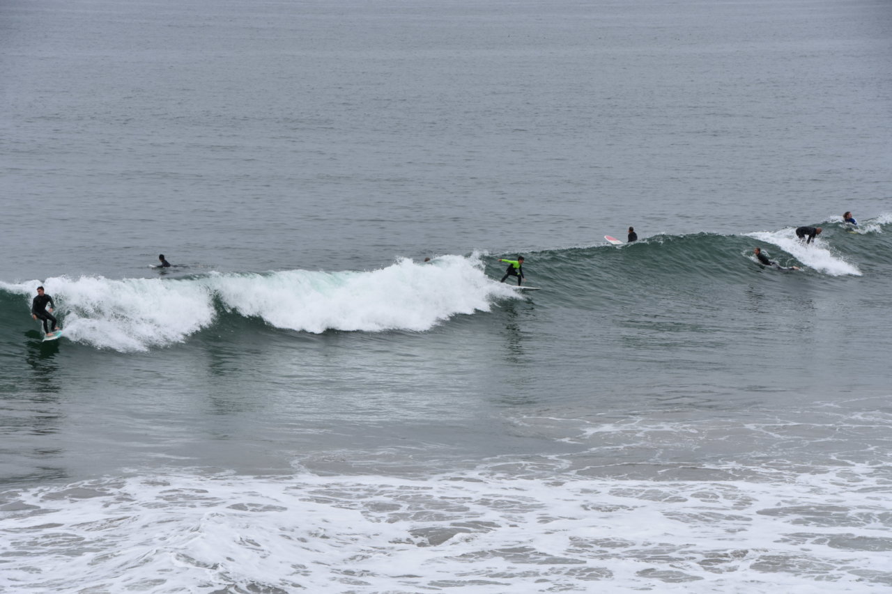 DSC_0716.jpg