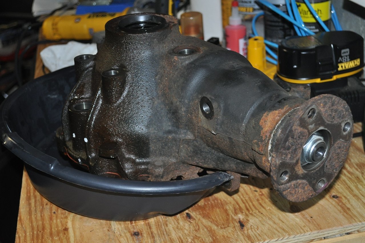 DSC_0729.jpg