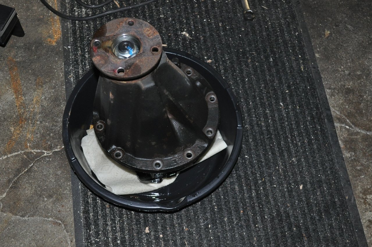DSC_0731.jpg