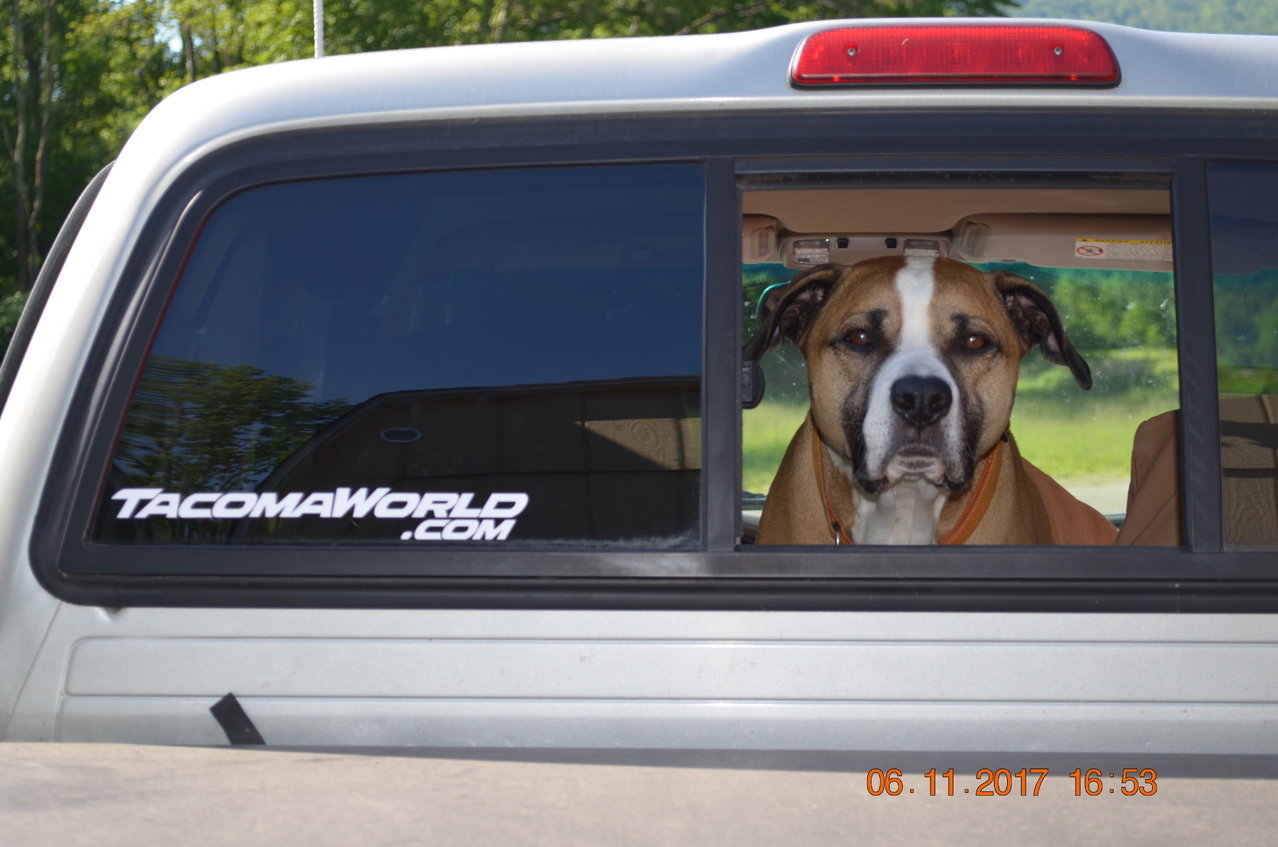 DSC_0732.jpg