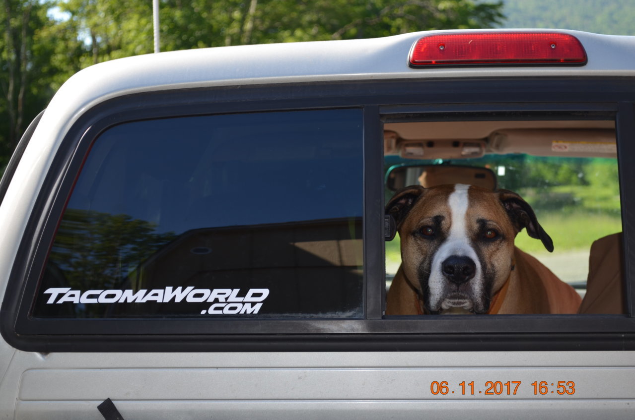 DSC_0733.jpg