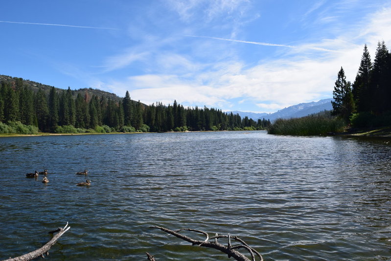 DSC_0734.jpg