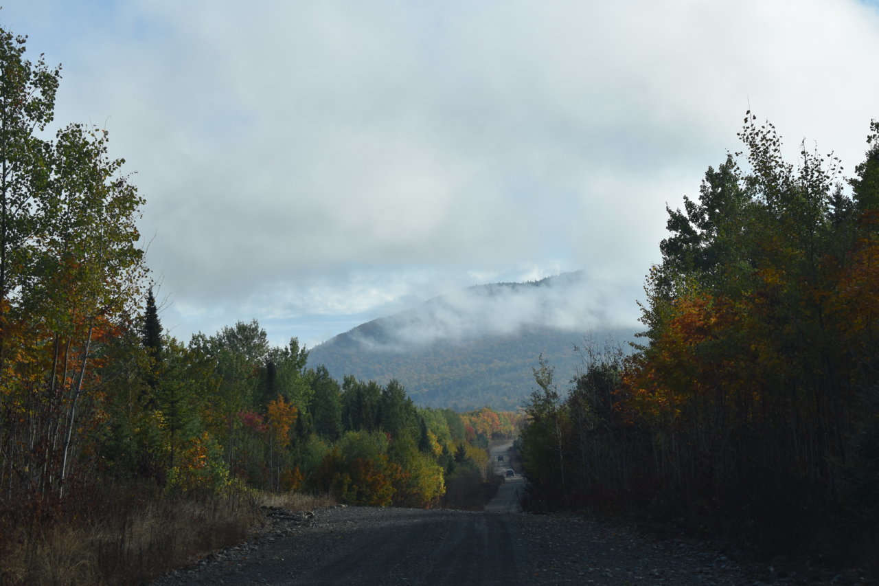 DSC_0762.jpg