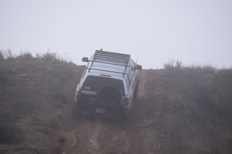 DSC_0774.jpg