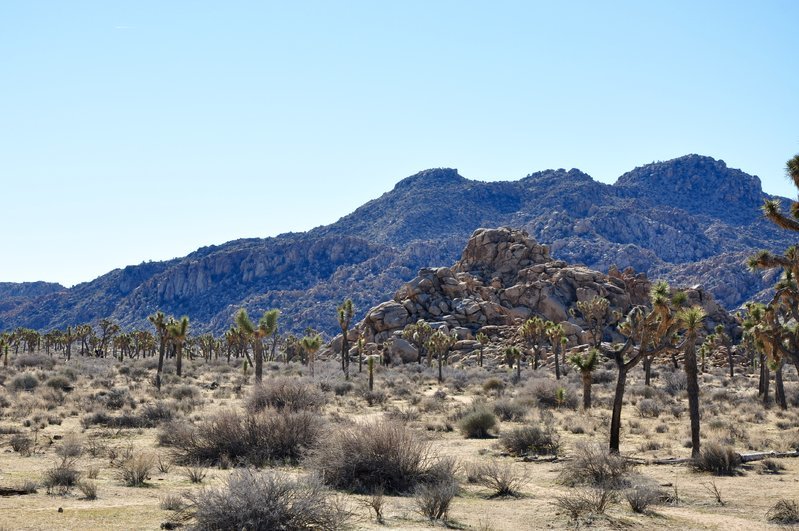 DSC_0796.jpg