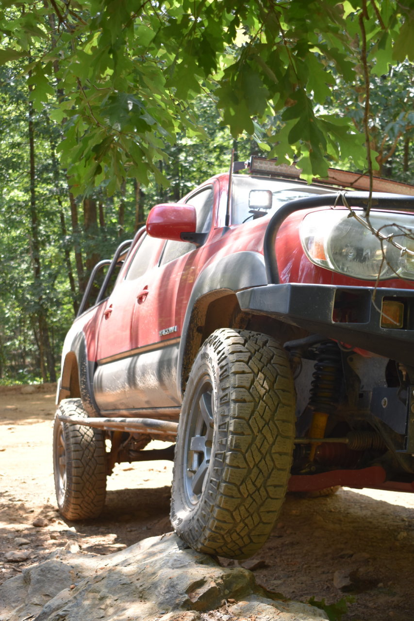 DSC_0806.jpg