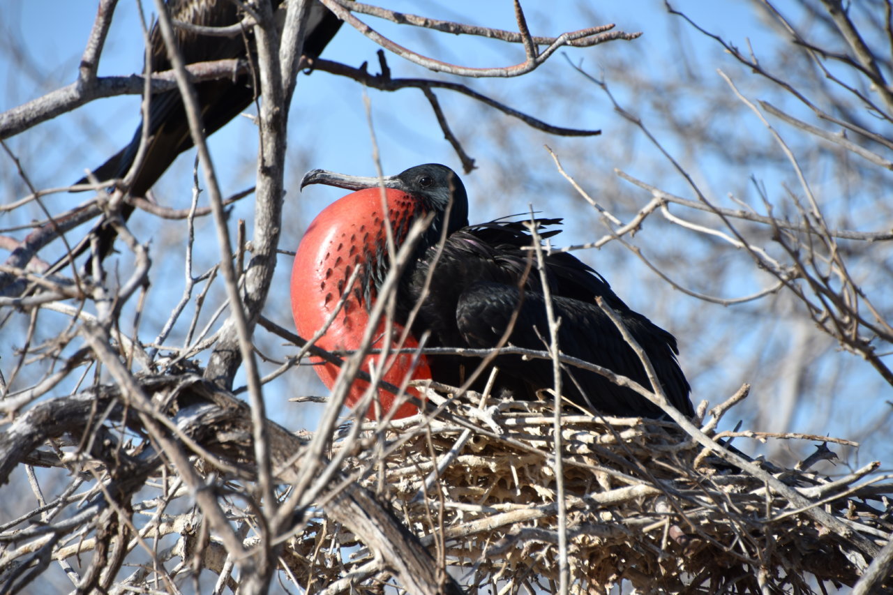 DSC_0811.jpg