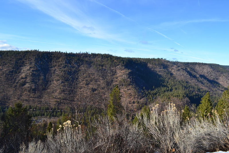 DSC_0820.jpg
