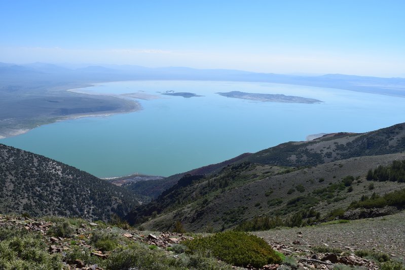DSC_0823.jpg