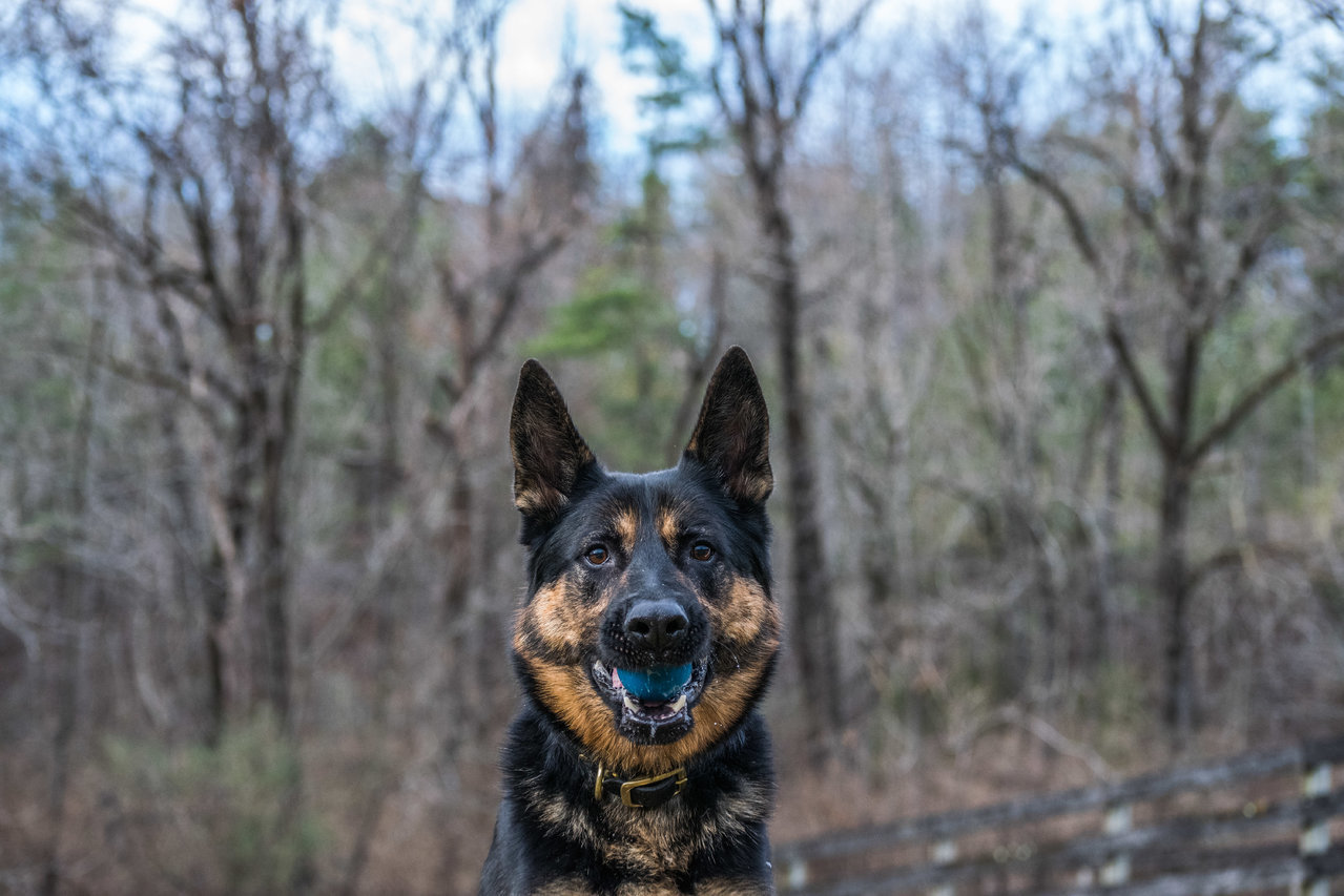 DSC_0845.jpg