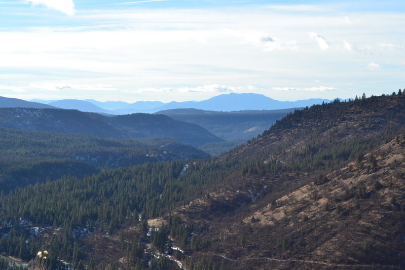 DSC_0849.jpg