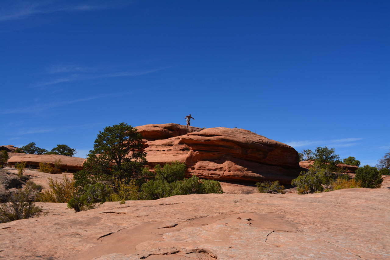 DSC_0851.jpg