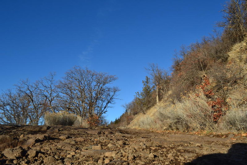 DSC_0877.jpg