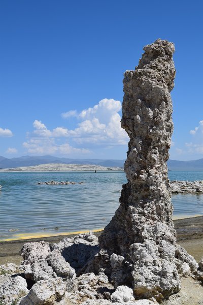 DSC_0898.jpg