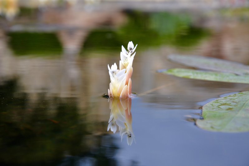 DSC_0903.jpg