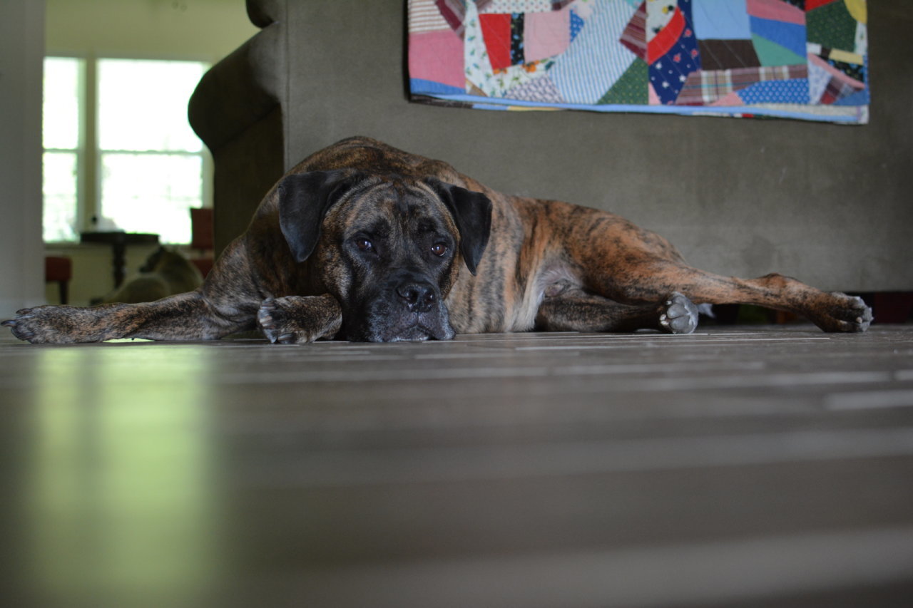 DSC_0919.jpg