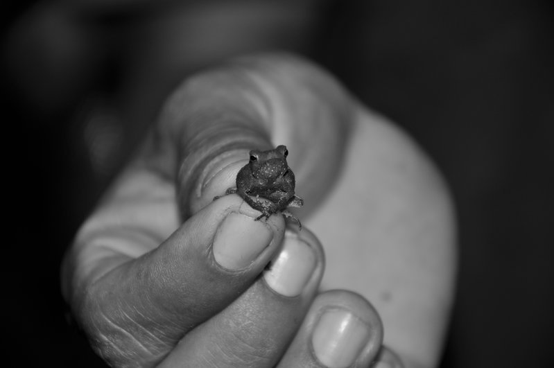 DSC_0923.jpg