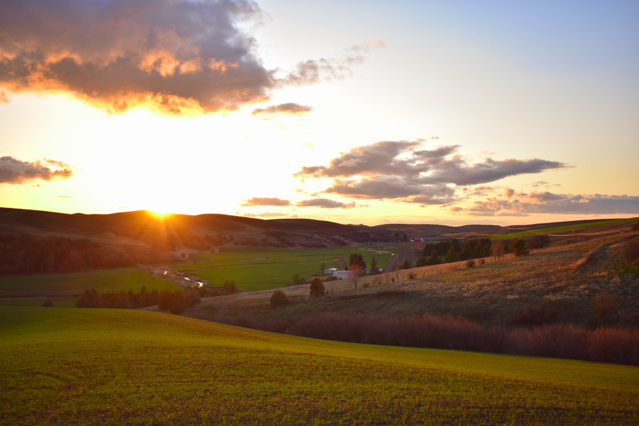 DSC_0925.jpg