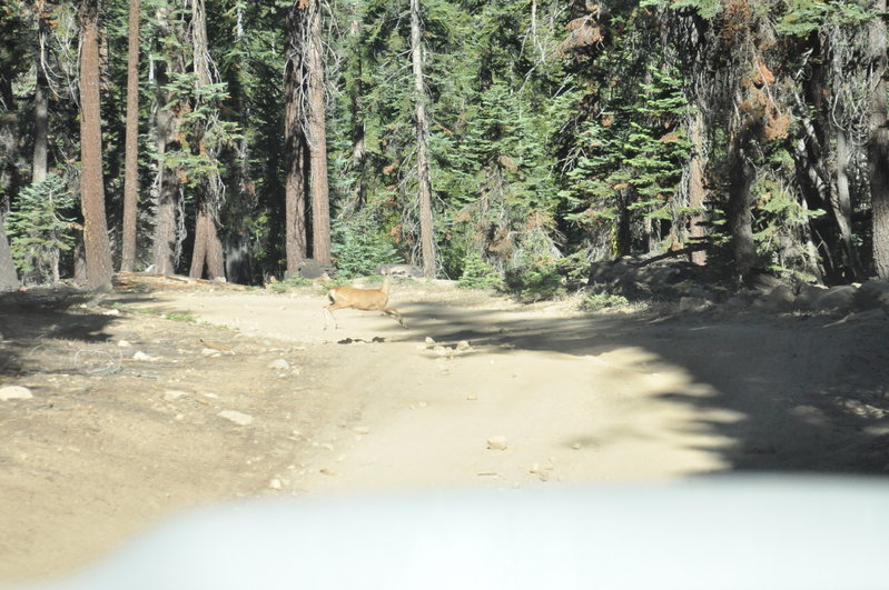 DSC_0939.jpg
