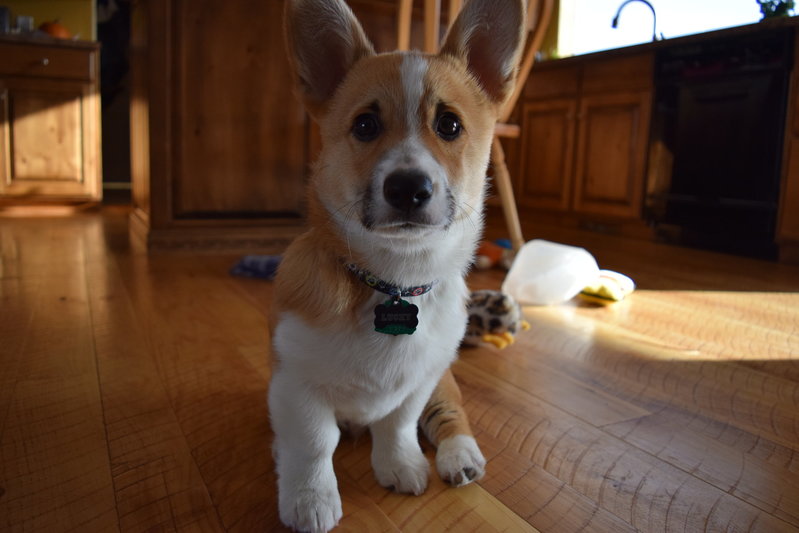 DSC_0942.jpg