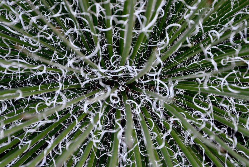 DSC_0946.jpg