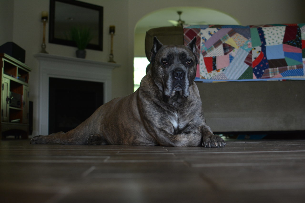 DSC_0950.jpg