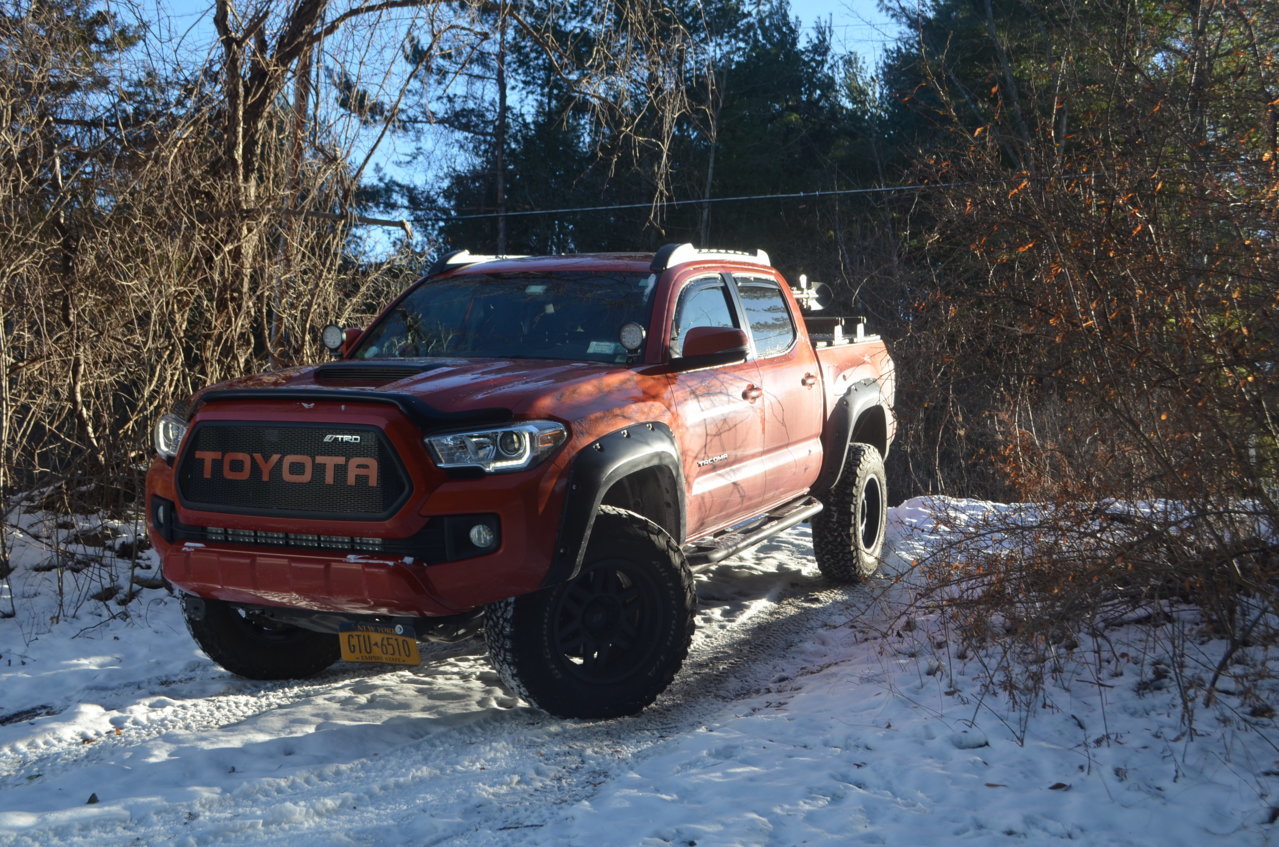 DSC_0951.jpg