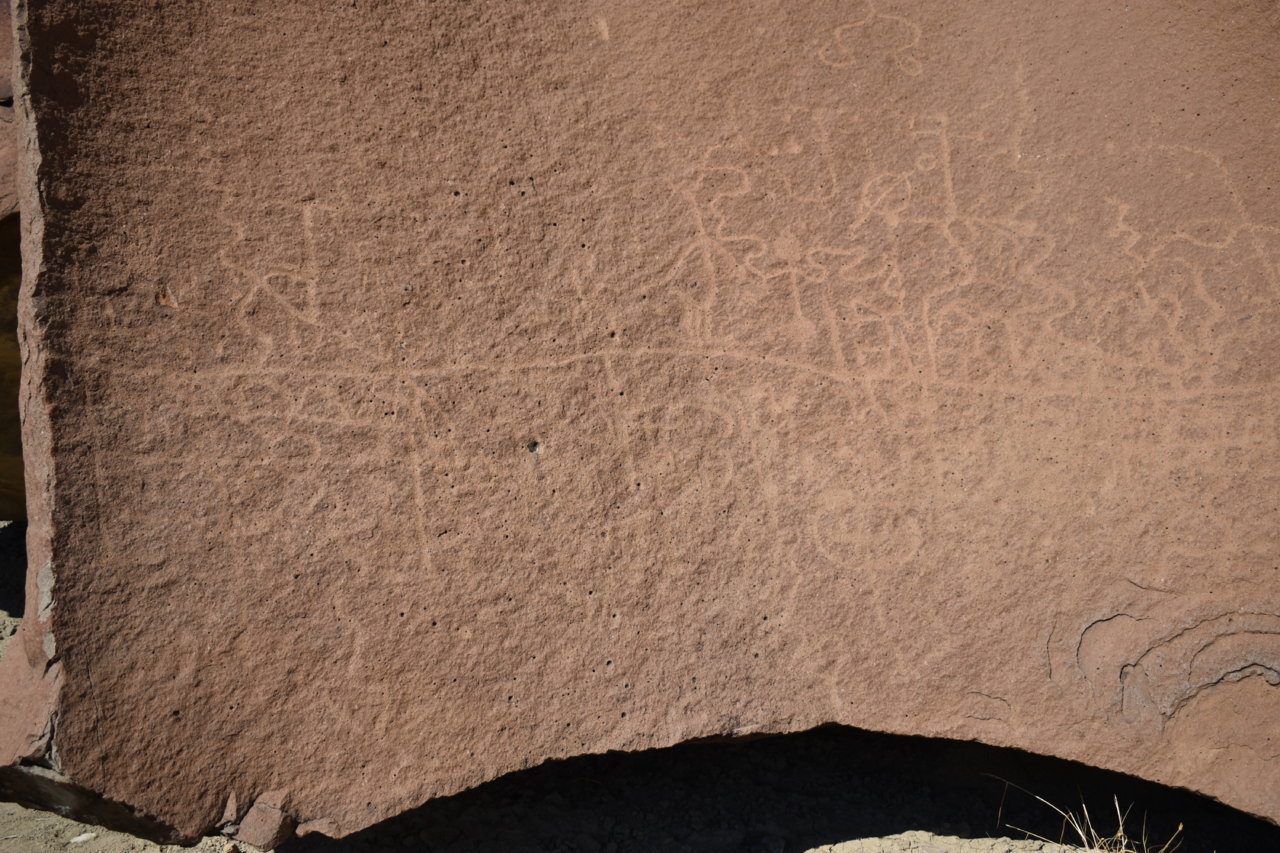 DSC_0965.jpg