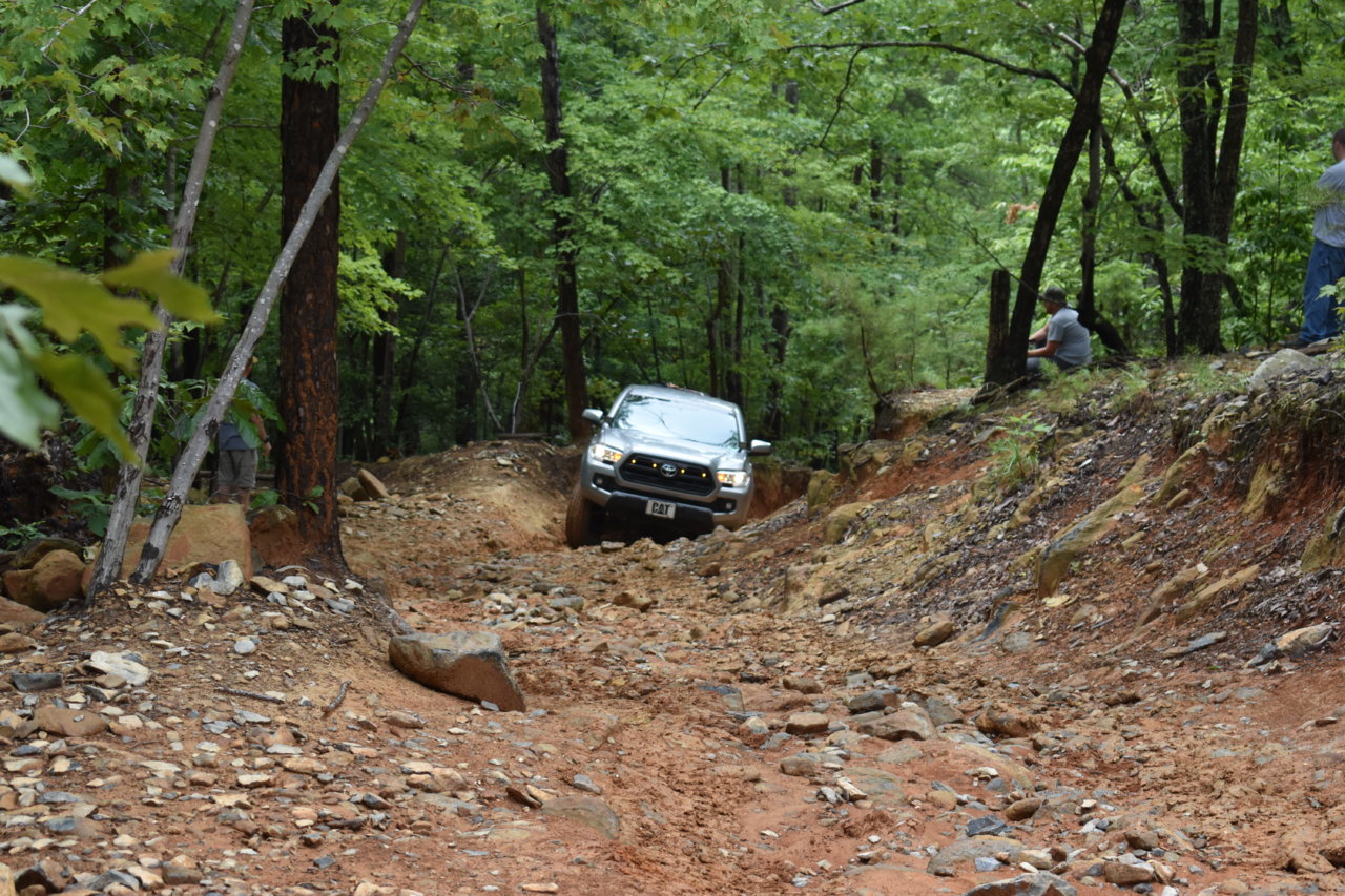 DSC_0971.jpg