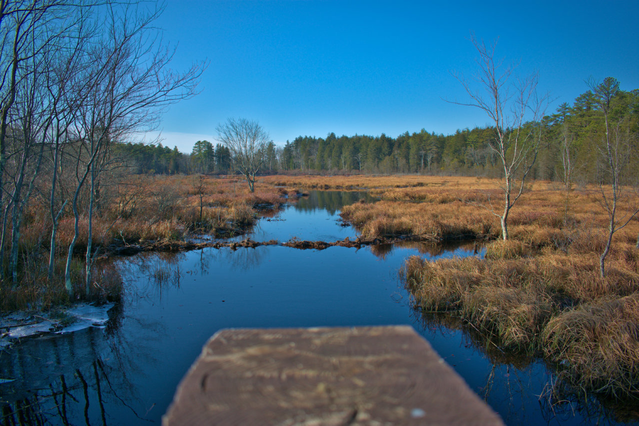 DSC_0971.jpg