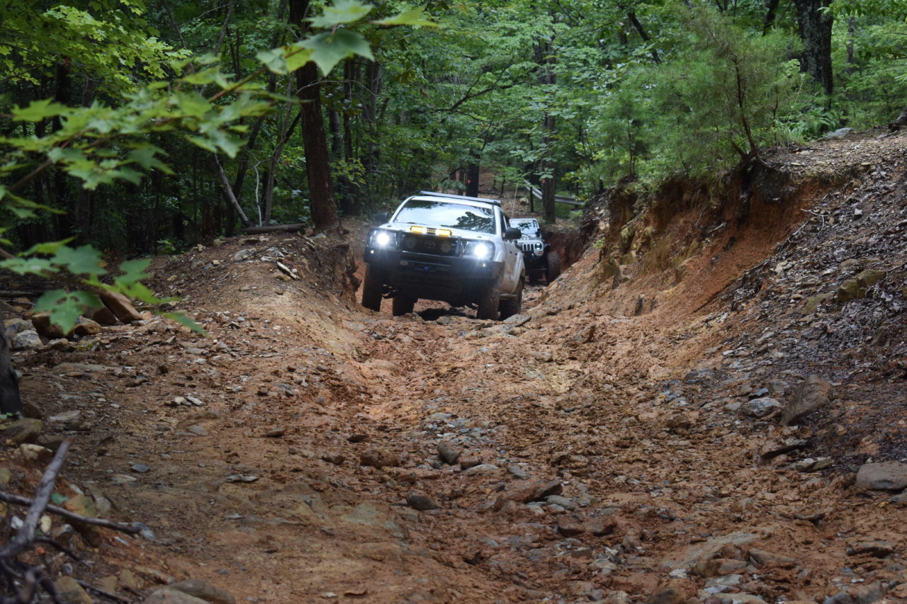 DSC_0984.jpg