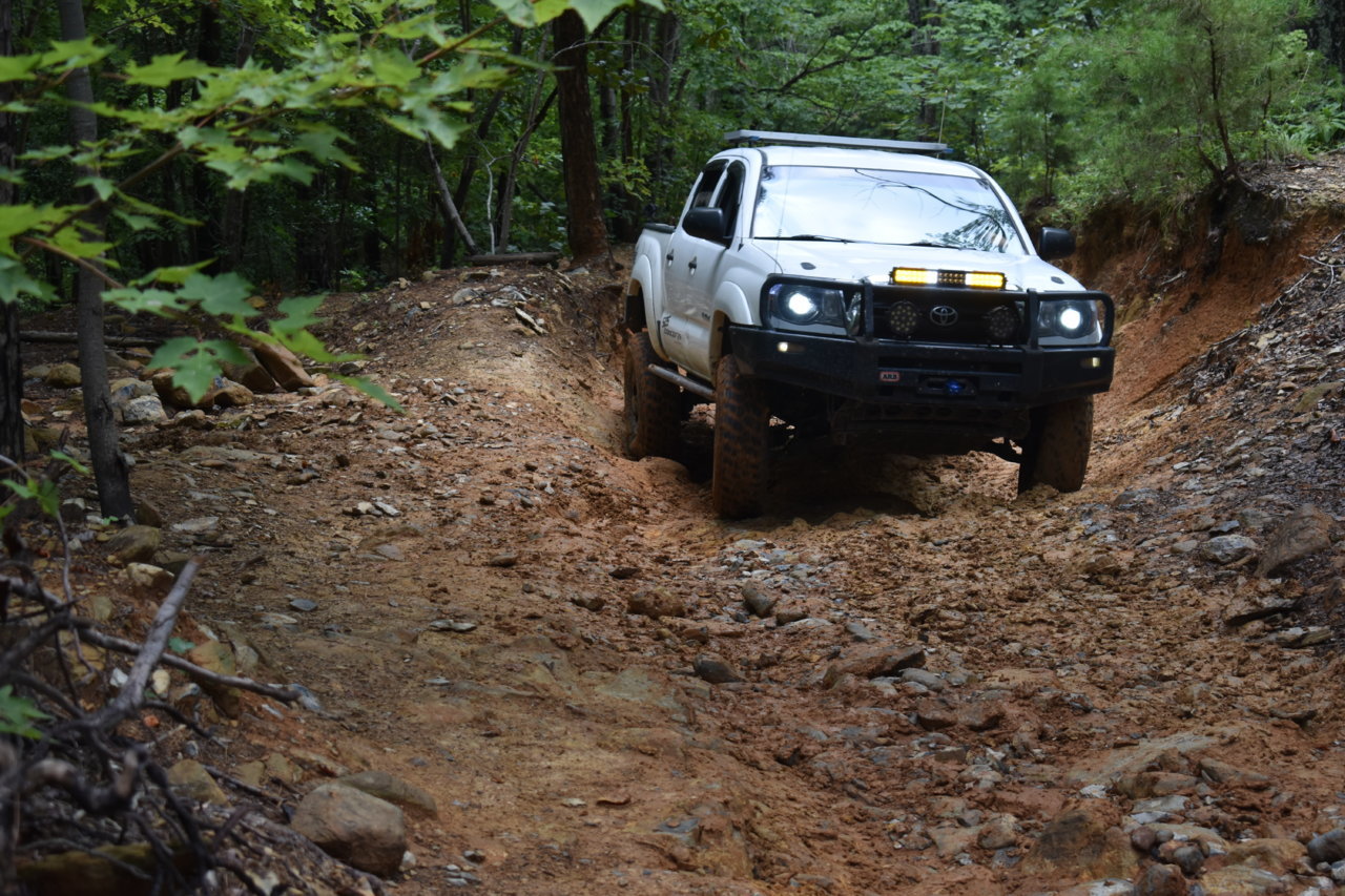 DSC_0985.jpg