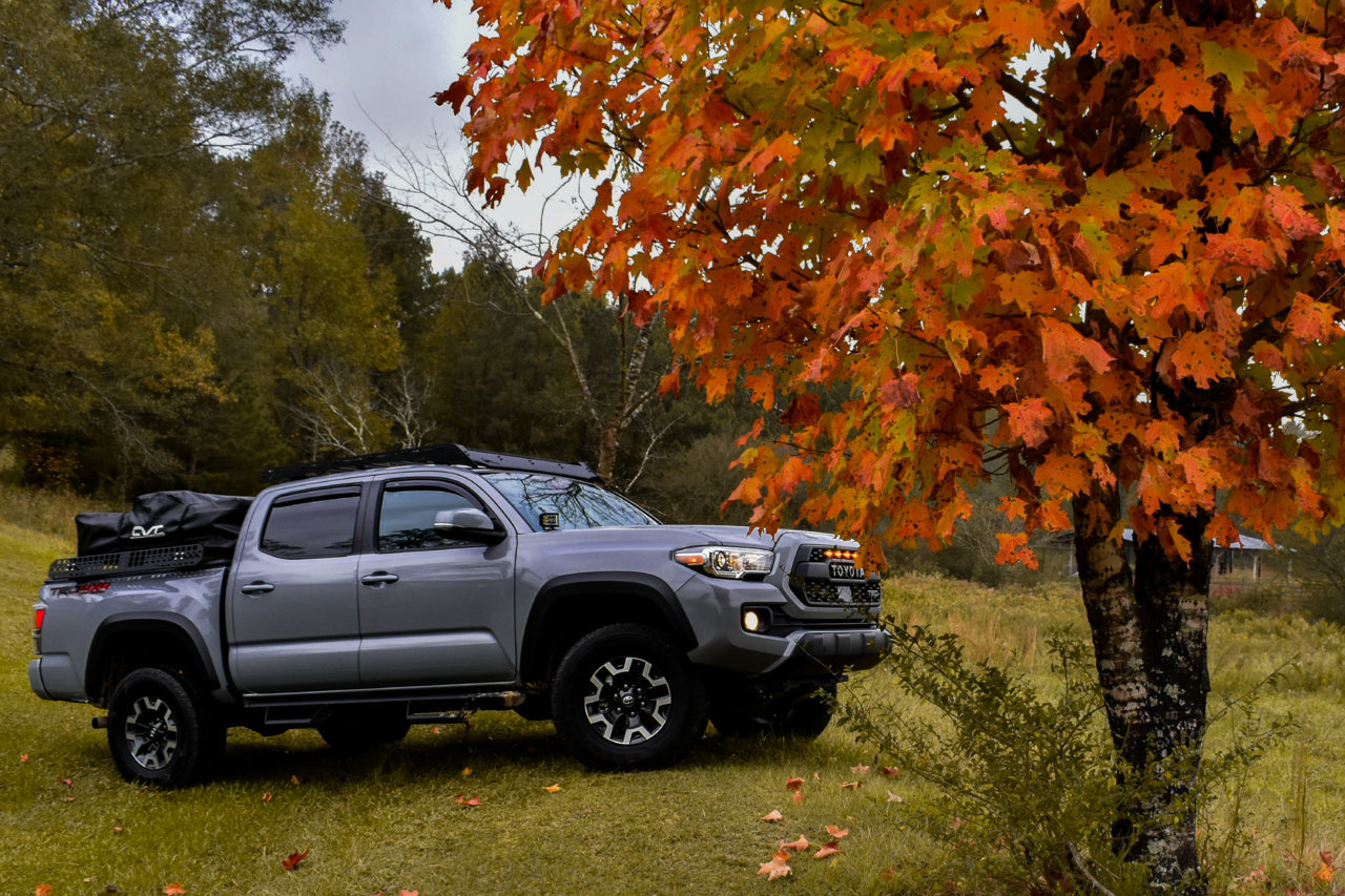 DSC_1012 (2).jpg