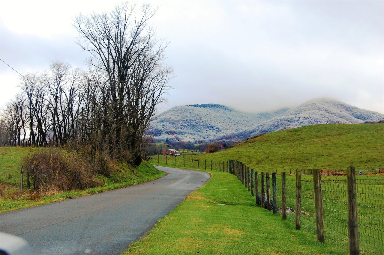 DSC_1012.jpg